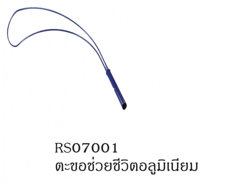 ตะขอช่วยชีวิต ทุ่นลอยน้ำ อุปกรณ์ทางน้ำ THE BESTWAY